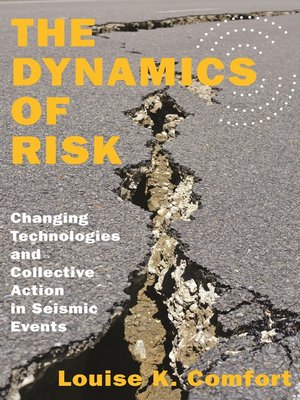 cover image of The Dynamics of Risk